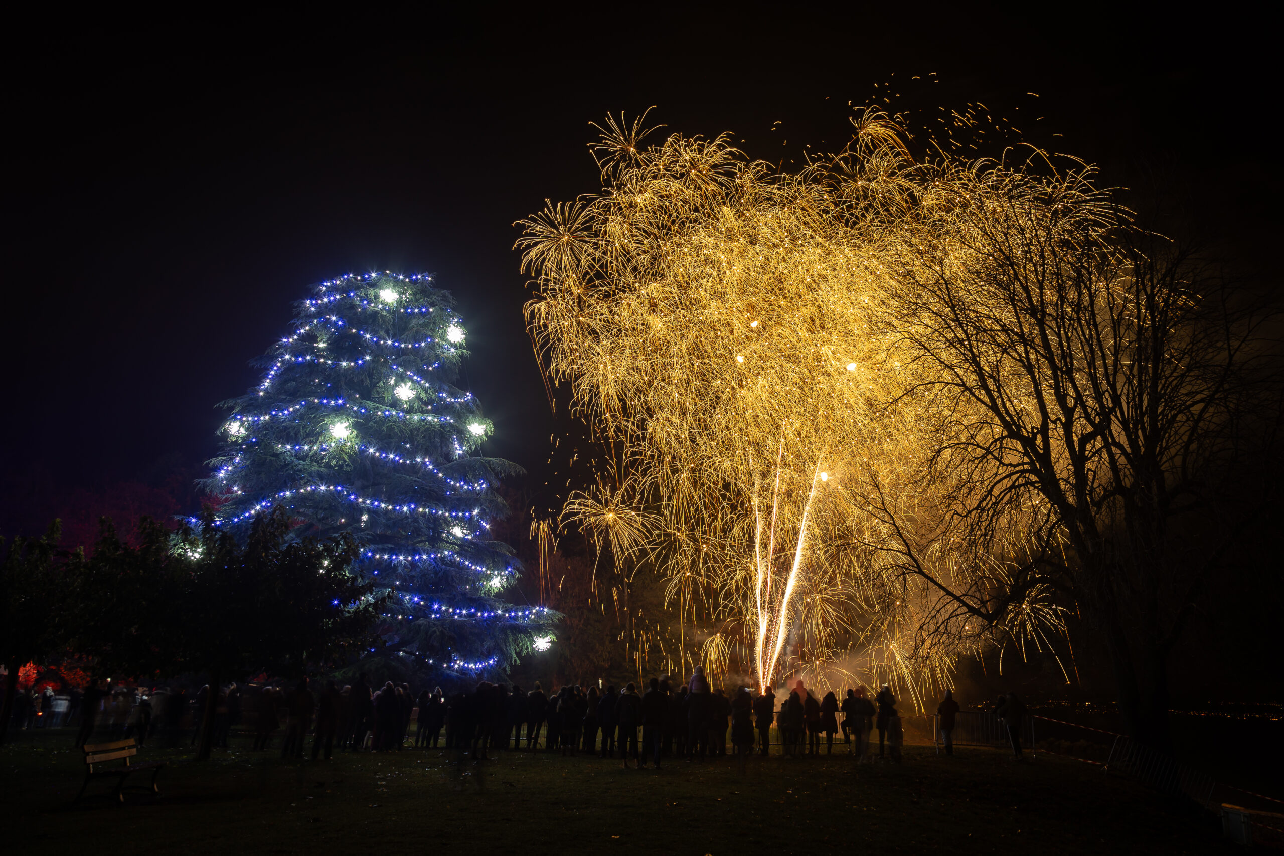 Ouverture des festivités de Noël