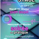 SHIM SHAM   Les Amis de la danse